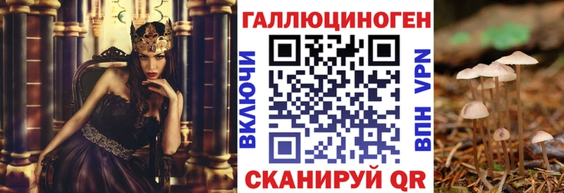 где купить   Елизаветинская  Галлюциногенные грибы прущие грибы 